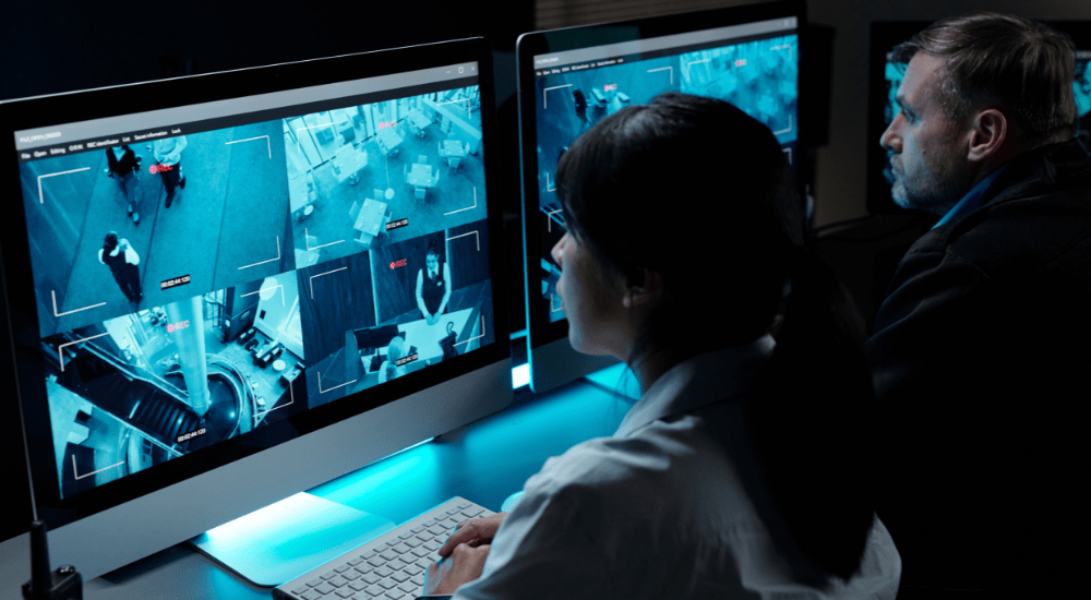 Pen Test & Site Security Audit Consultants – May 2025
