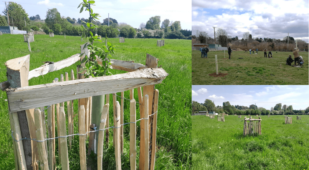 Hereford Wildlife Trust Donation – May 2026